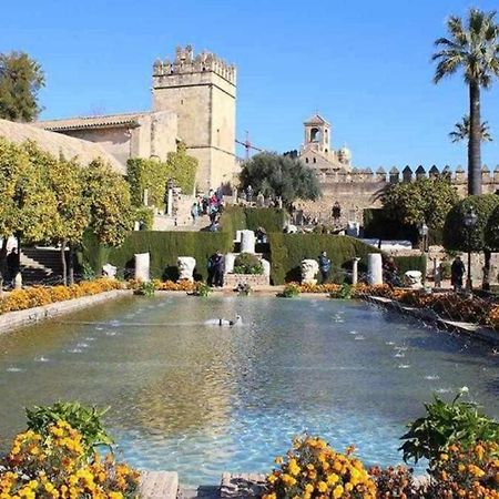 Precioso Loft El Arcangel Junto A La Ribera Córdoba Buitenkant foto