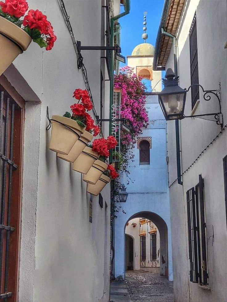 Precioso Loft El Arcangel Junto A La Ribera Córdoba Buitenkant foto